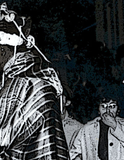 LES CAVALCADES DELS REIS MAGS A ONTINYENT